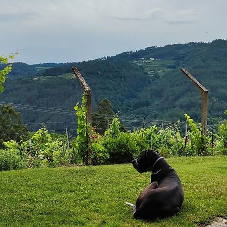Villa Casa Da Vina - Ribeira Sacra Nogueira De Ramuin Exterior foto