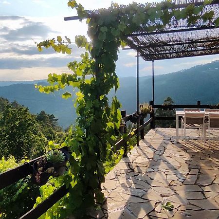 Villa Casa Da Vina - Ribeira Sacra Nogueira De Ramuin Exterior foto