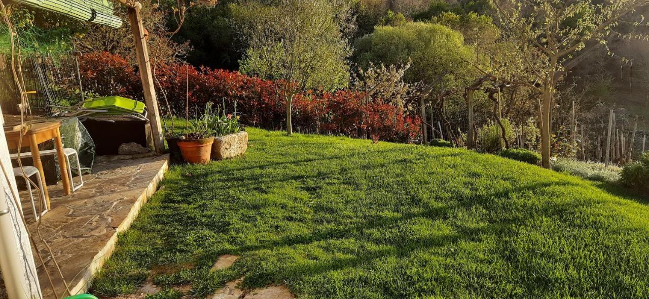 Villa Casa Da Vina - Ribeira Sacra Nogueira De Ramuin Exterior foto