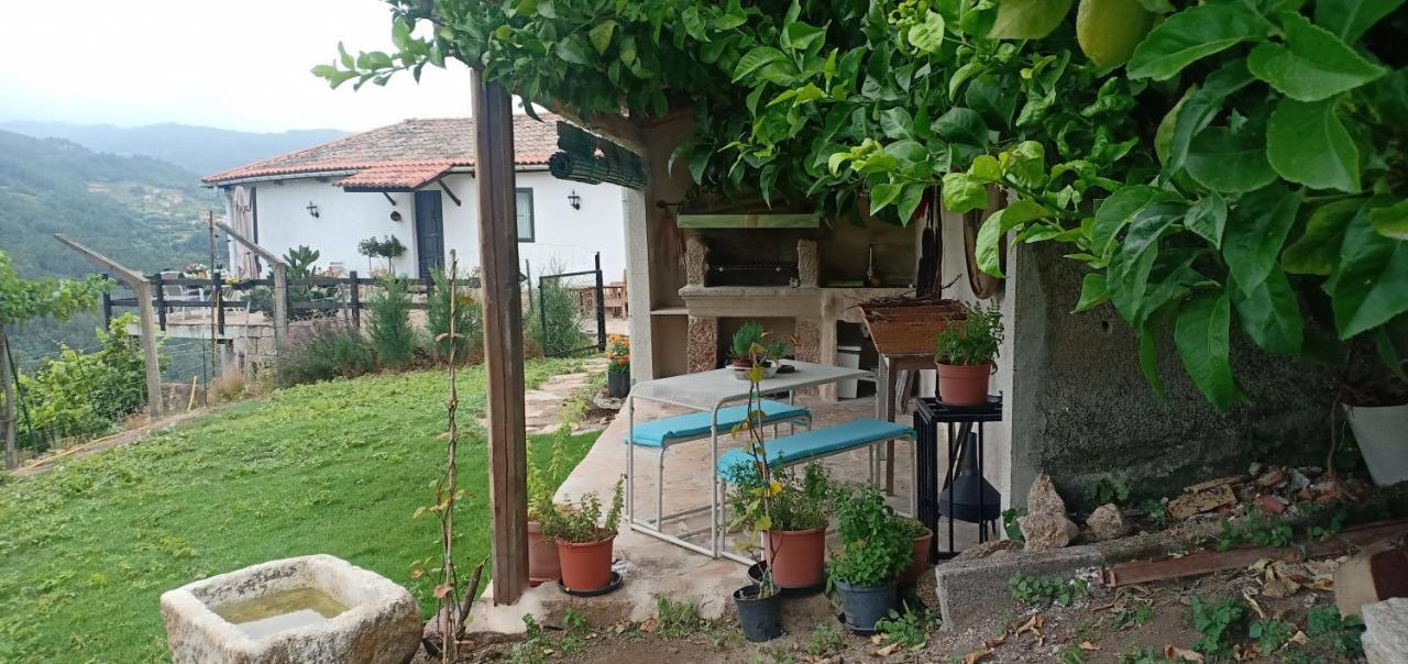 Villa Casa Da Vina - Ribeira Sacra Nogueira De Ramuin Exterior foto